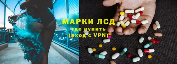 индика Ростов