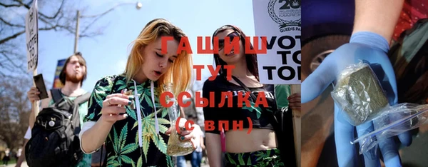 индика Ростов