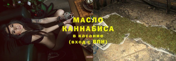 индика Ростов