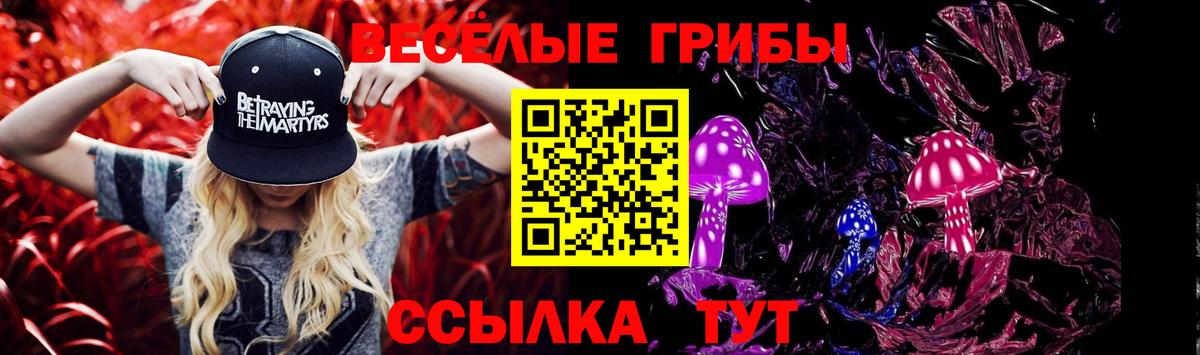 Галлюциногенные грибы мухоморы  купить закладку  Кувандык  Галлюциногенные грибы Magic Shrooms  Вход с VPN 